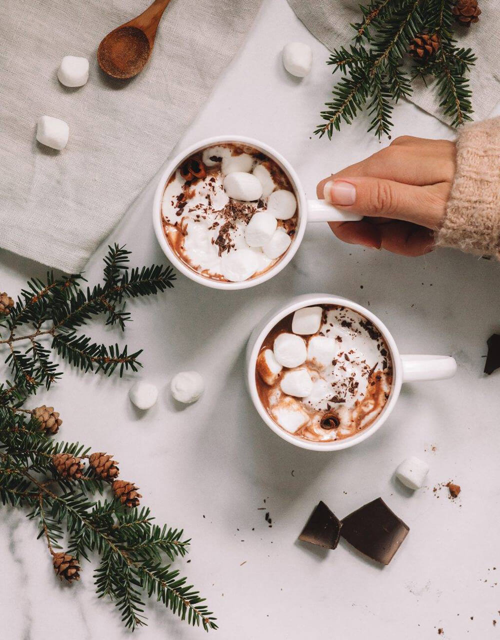 Mushroom Hot Cocoa